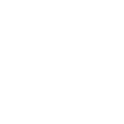 icon (6)
